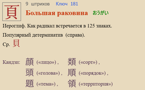 Большая раковина